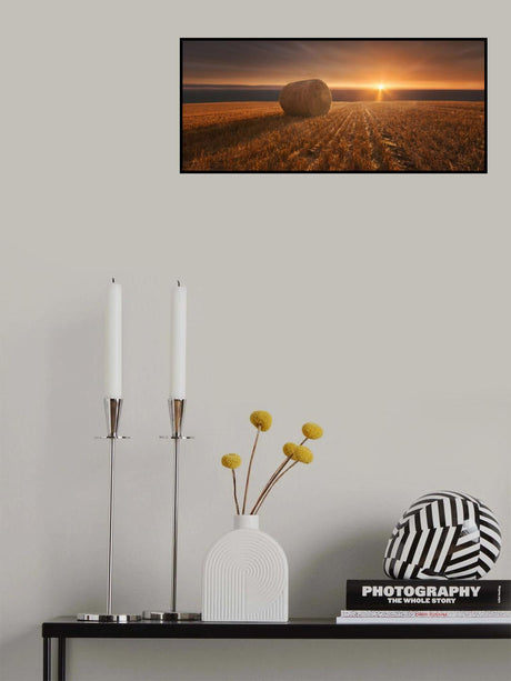 Gold Harvest Poster och Canvastavla