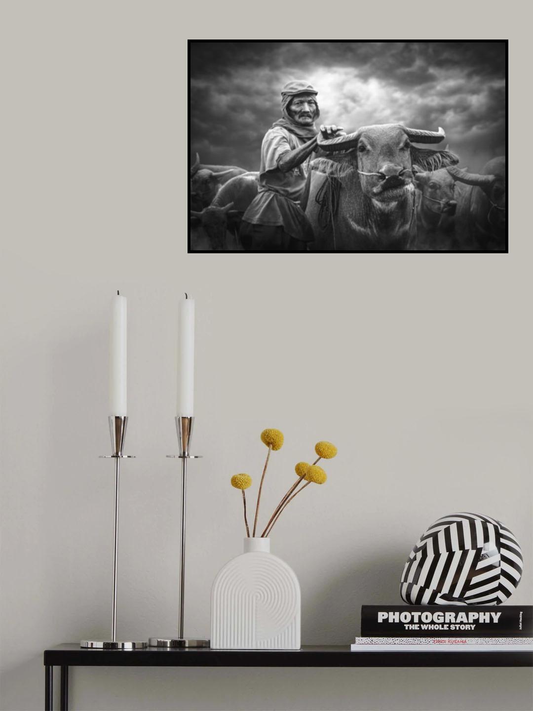 the shepherd Poster och Canvastavla
