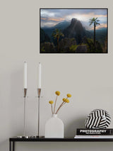 Tenacious Palm Trees Poster och Canvastavla
