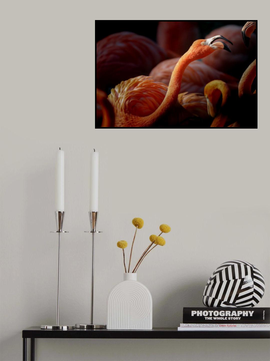 flamingos Poster och Canvastavla