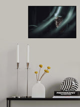 expectation Poster och Canvastavla