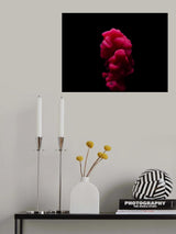 Abstract color paint splash Poster och Canvastavla