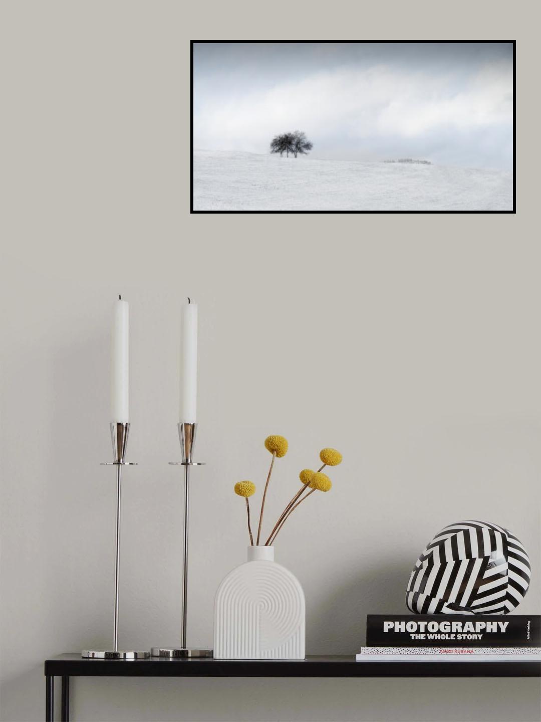 snow Poster och Canvastavla