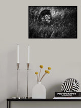 Immortal Poster och Canvastavla