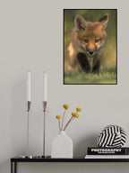 Red Fox Kit Poster och Canvastavla