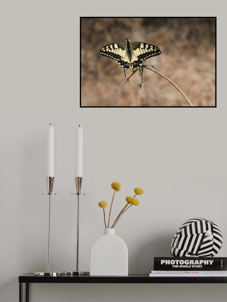 You can still fly Poster och Canvastavla