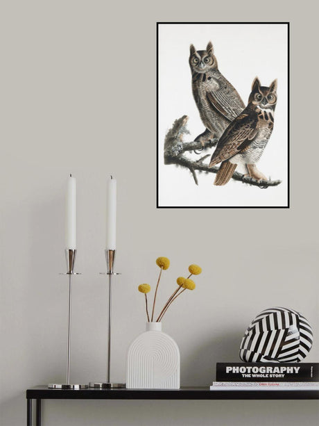 Great Horned Owl From Birds of America (1827) Poster och Canvastavla