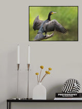 To dry Poster och Canvastavla
