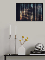Lace Curtains Poster och Canvastavla