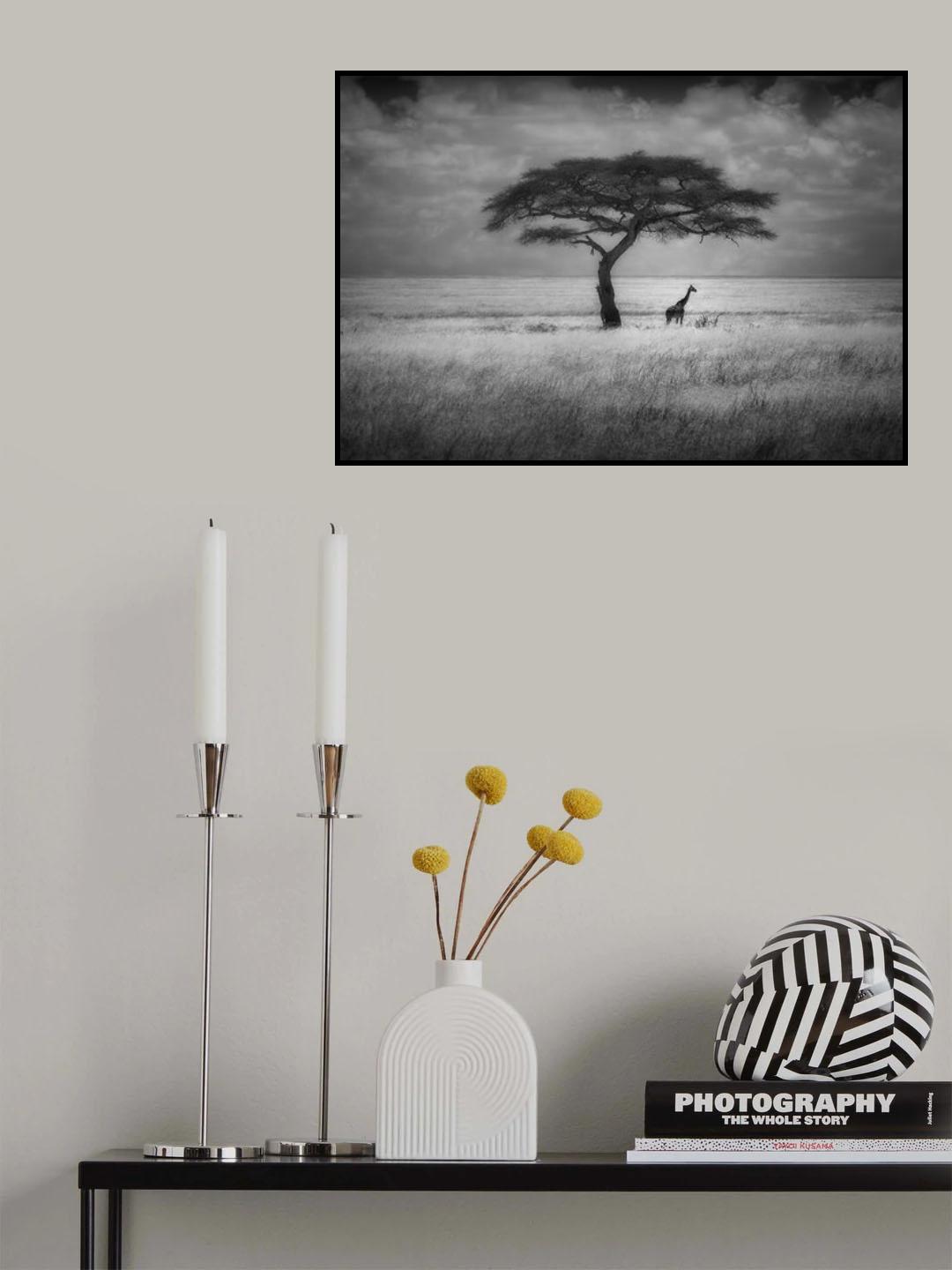 Shade Poster och Canvastavla