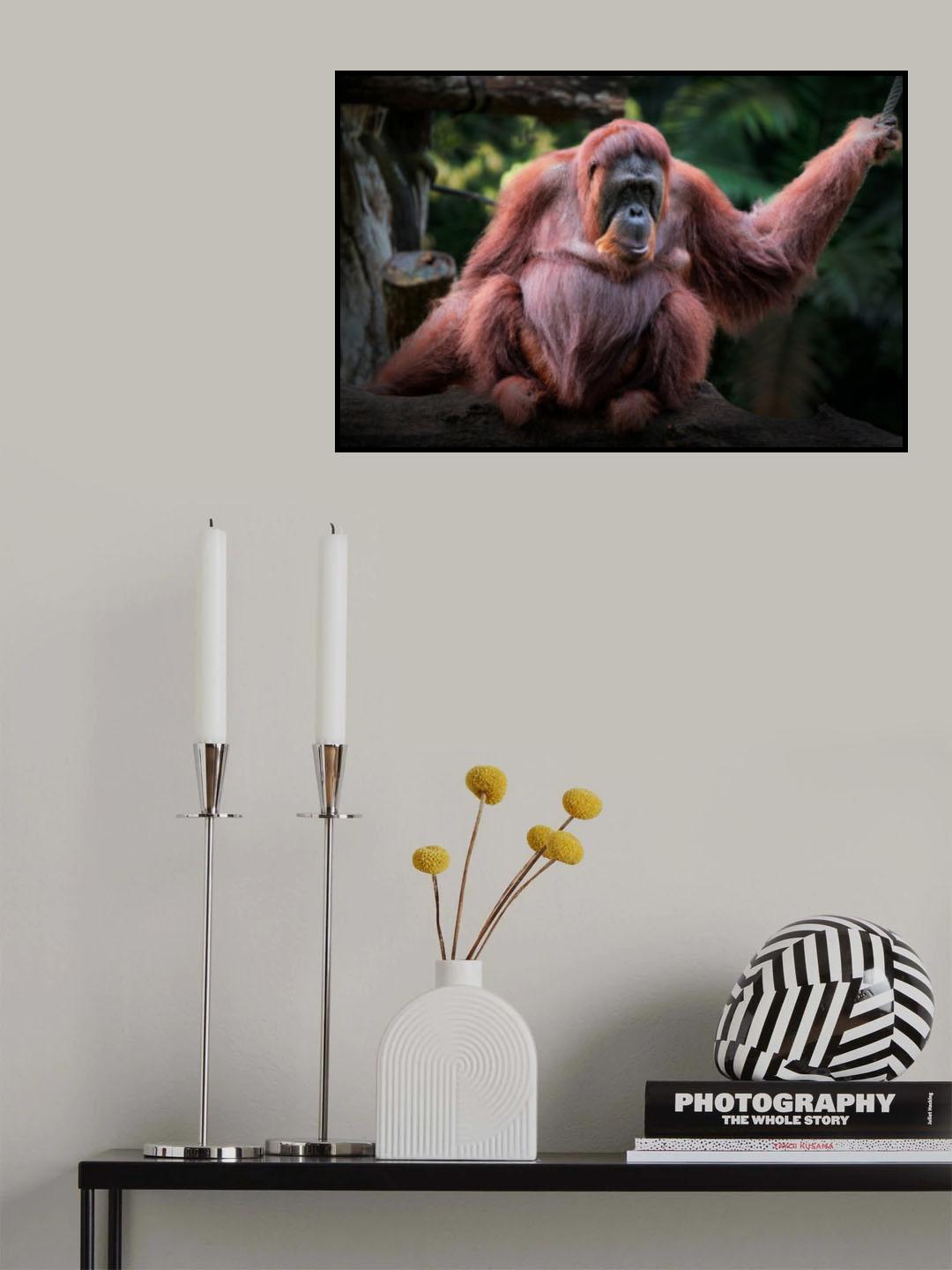 Hey I am ready for photo taking Poster och Canvastavla