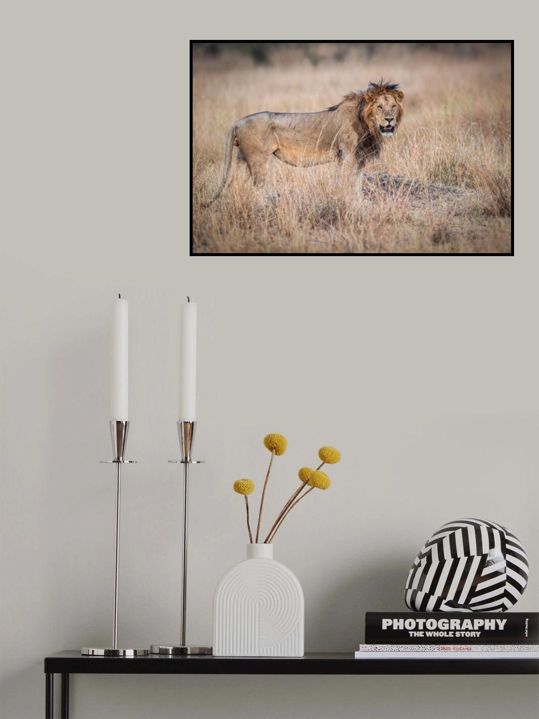 Predator in the predawn light of day Poster och Canvastavla