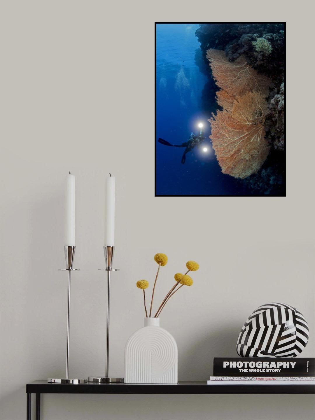 Gorgonian Coral and an Underwater photographer Poster och Canvastavla