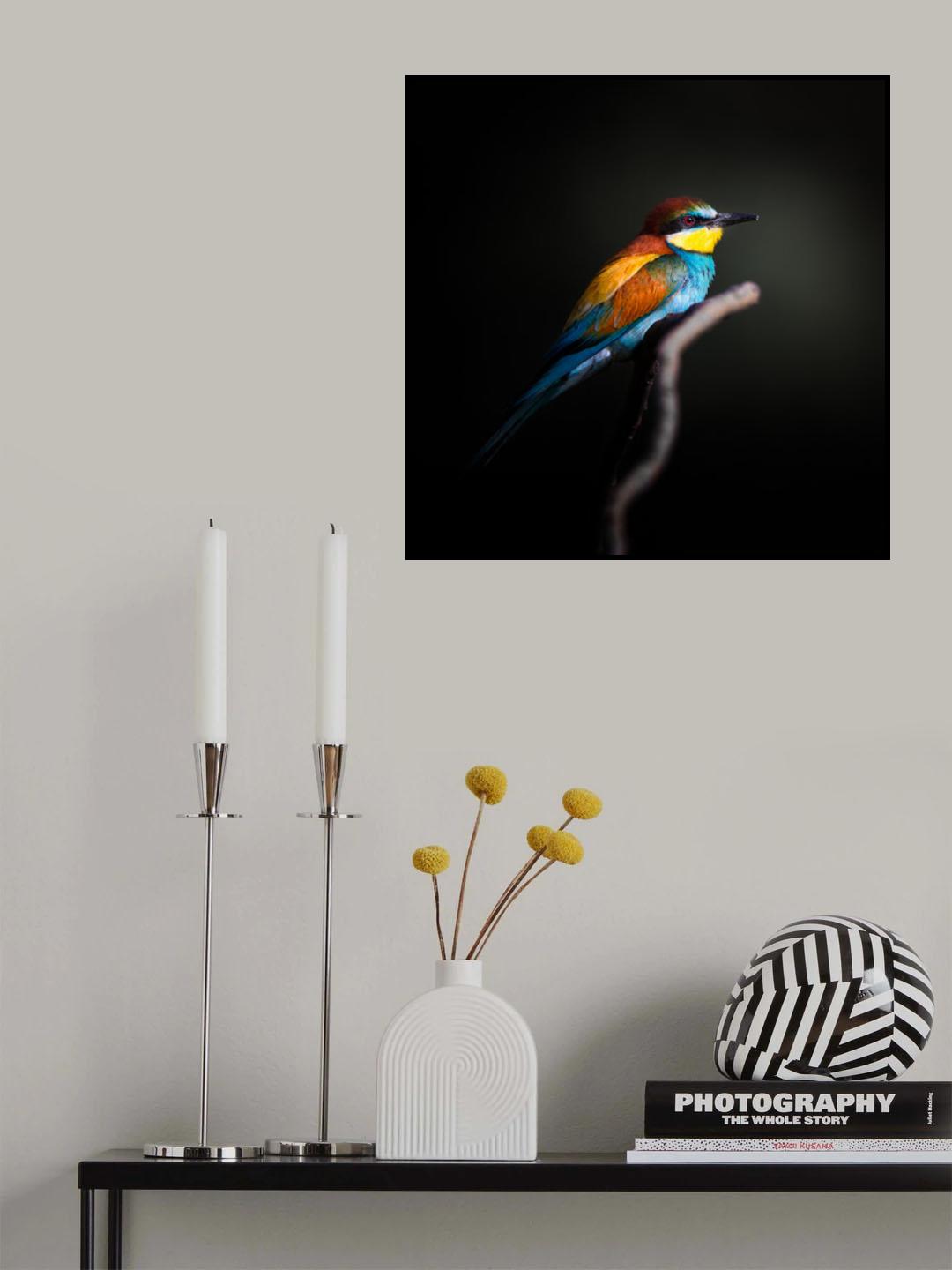 Colorful Darkly Poster och Canvastavla