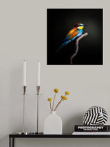 Colorful Darkly Poster och Canvastavla