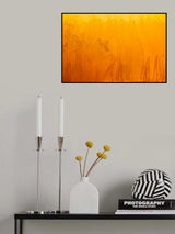 Dream Flight Poster och Canvastavla