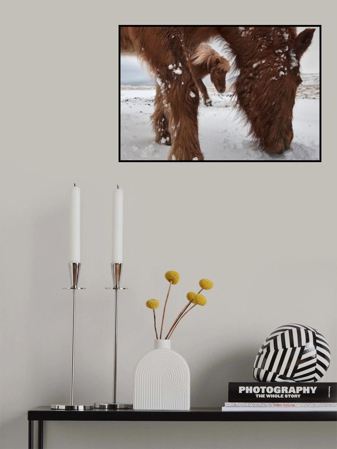 Framed by a friend Poster och Canvastavla