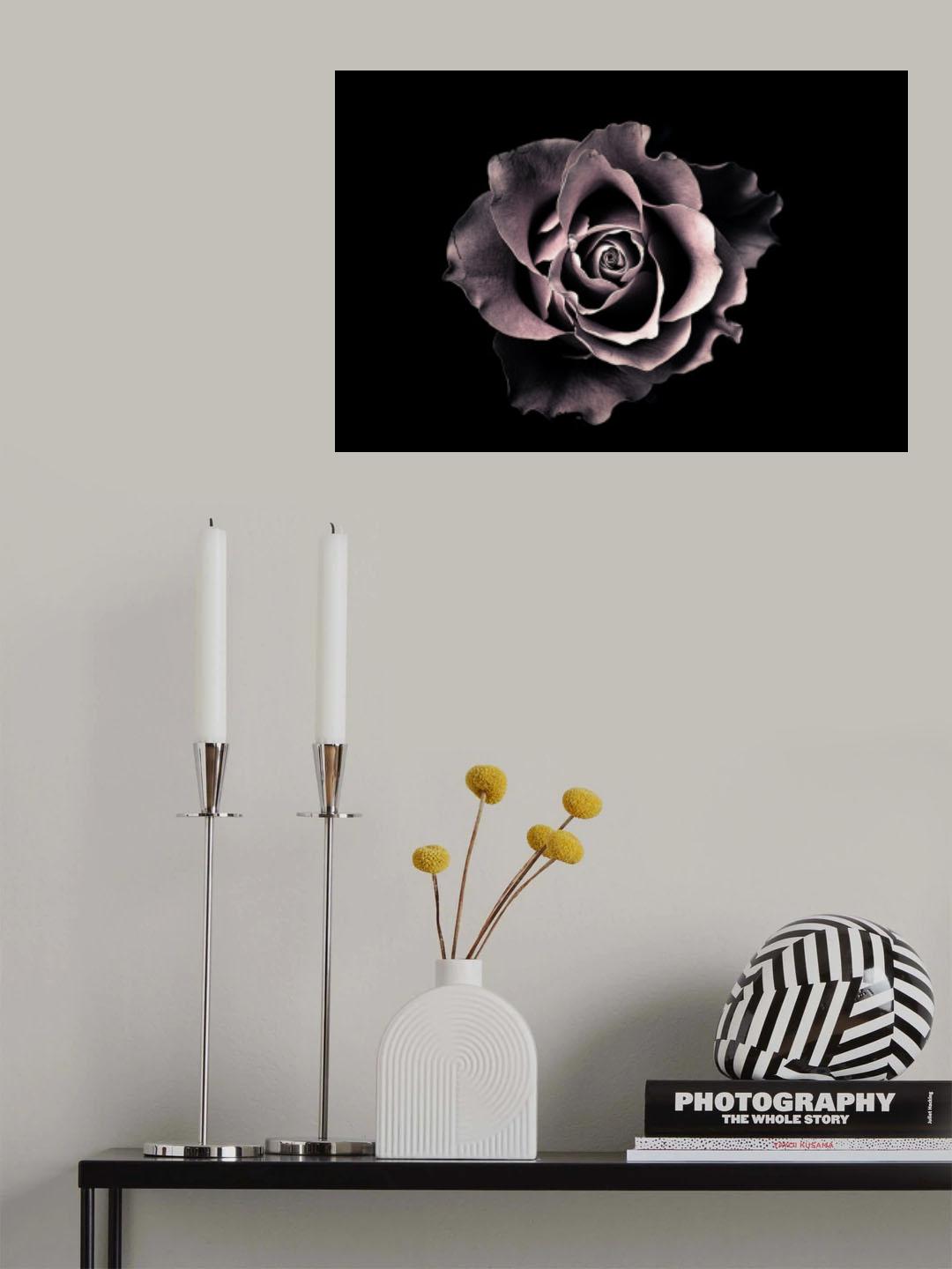 Rose Poster och Canvastavla