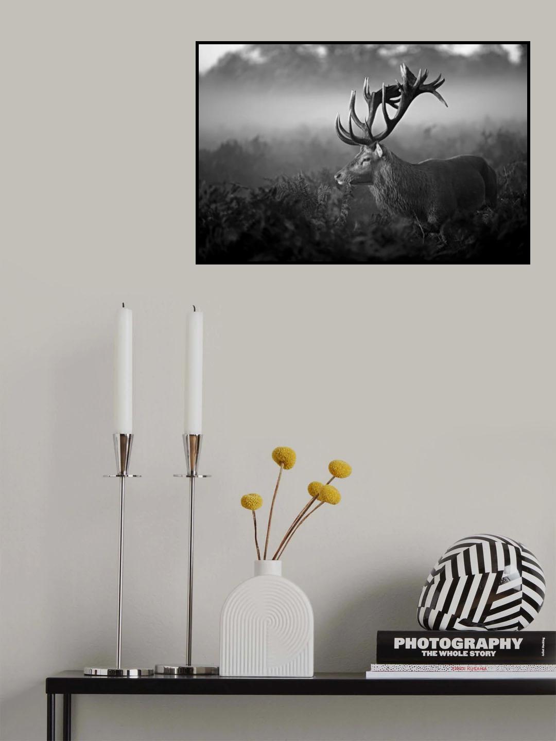 Sunny Morning Poster och Canvastavla