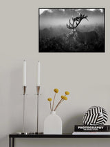 Sunny Morning Poster och Canvastavla