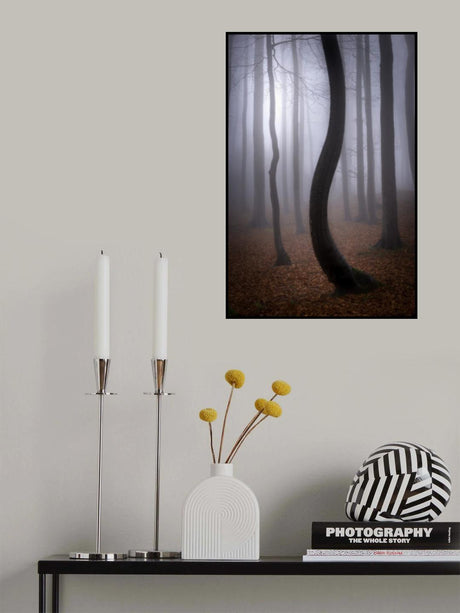 Foggy Autumn Poster och Canvastavla