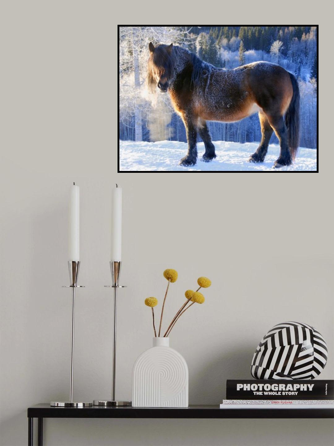 King of the valley Poster och Canvastavla