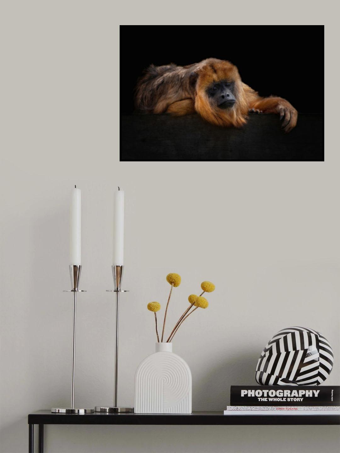 I'm Bored - Baboune - Alouatta Macconnelli Poster och Canvastavla