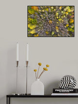 Some fall undresses faster Poster och Canvastavla