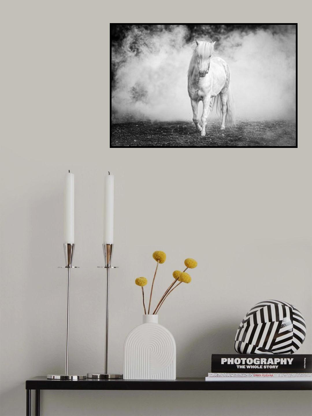Icelandic pony Poster och Canvastavla