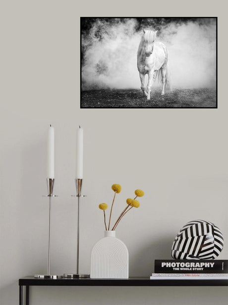 Icelandic pony Poster och Canvastavla