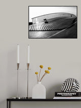 Cat on the bridge Poster och Canvastavla