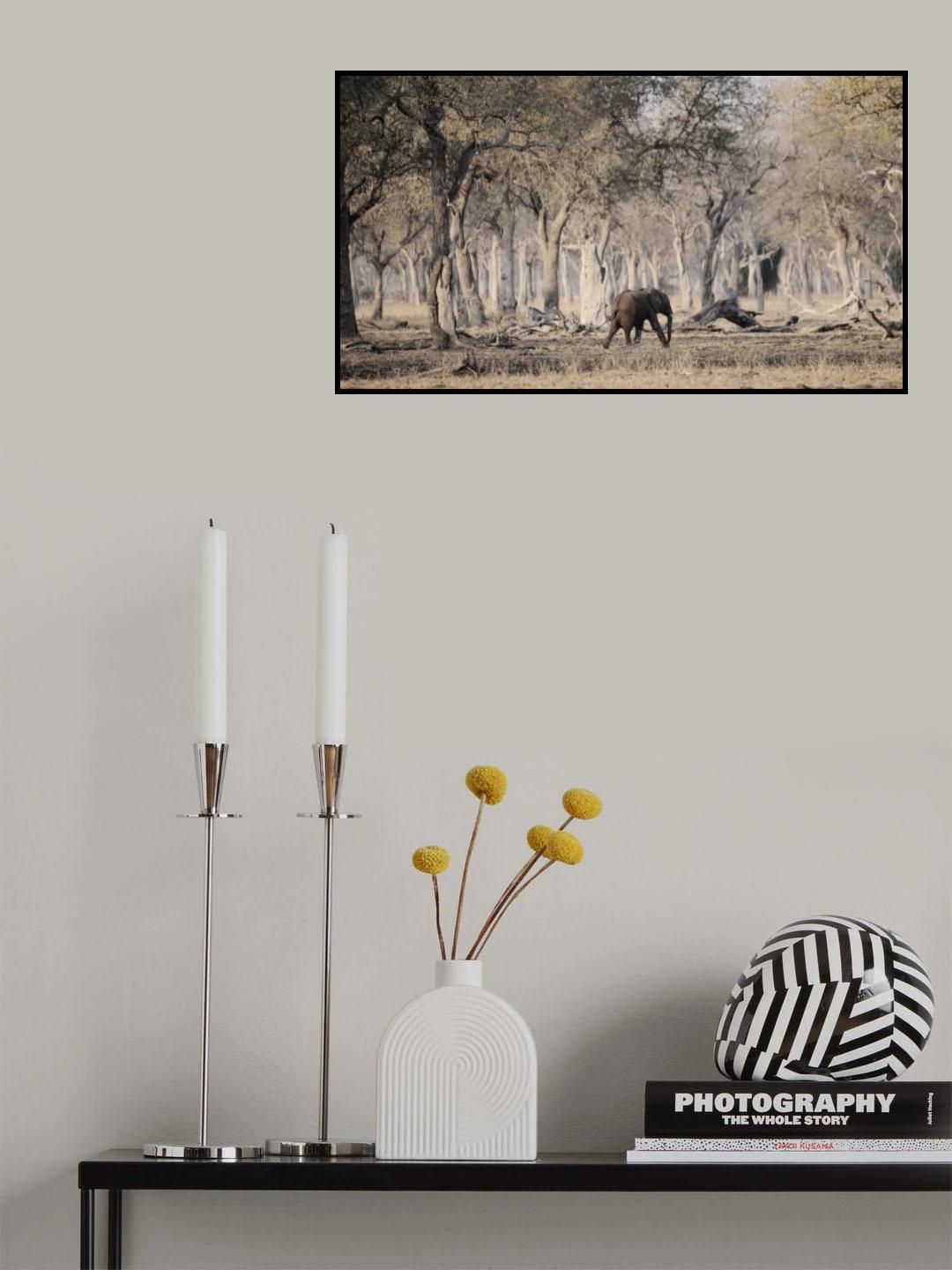 Poster och Canvastavla