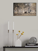 Poster och Canvastavla