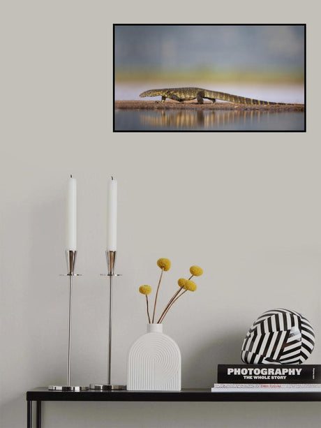 Water Monitor Poster och Canvastavla