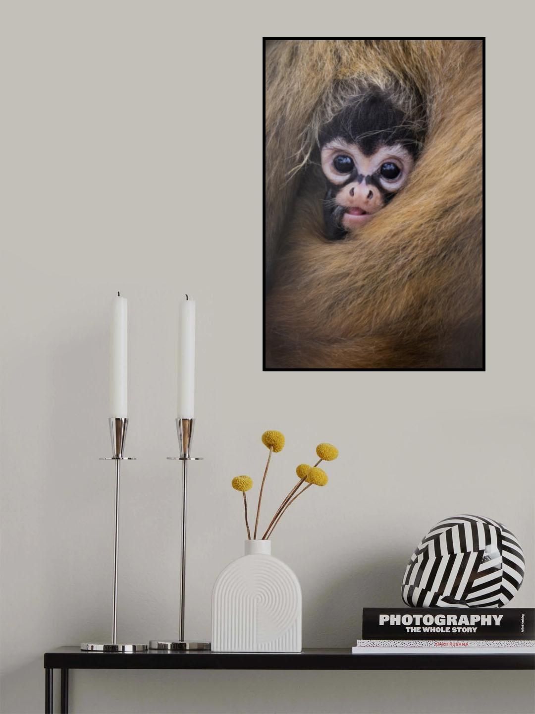 Wrapped in Mommas Arms Poster och Canvastavla