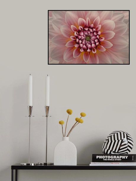 Blush Poster och Canvastavla