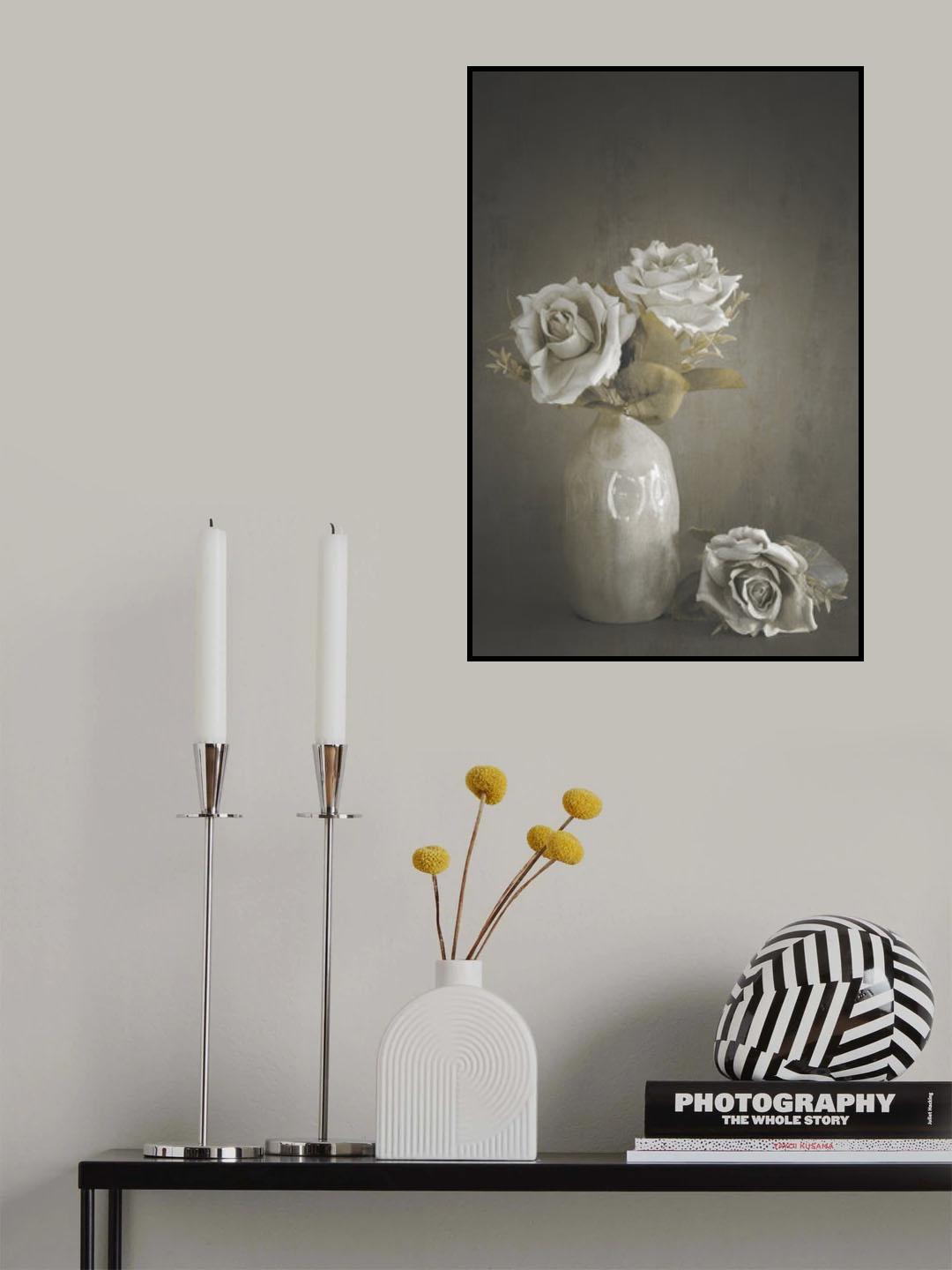 Softened Poster och Canvastavla