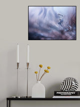 .:NT:. Poster och Canvastavla
