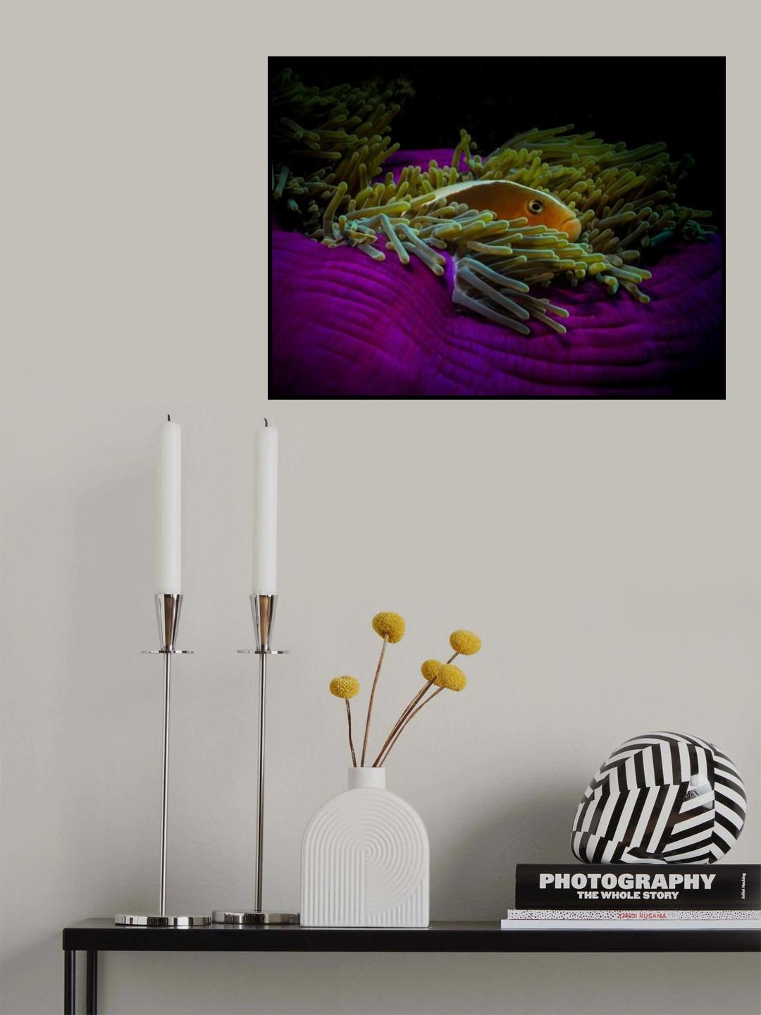 Symbiotic Poster och Canvastavla