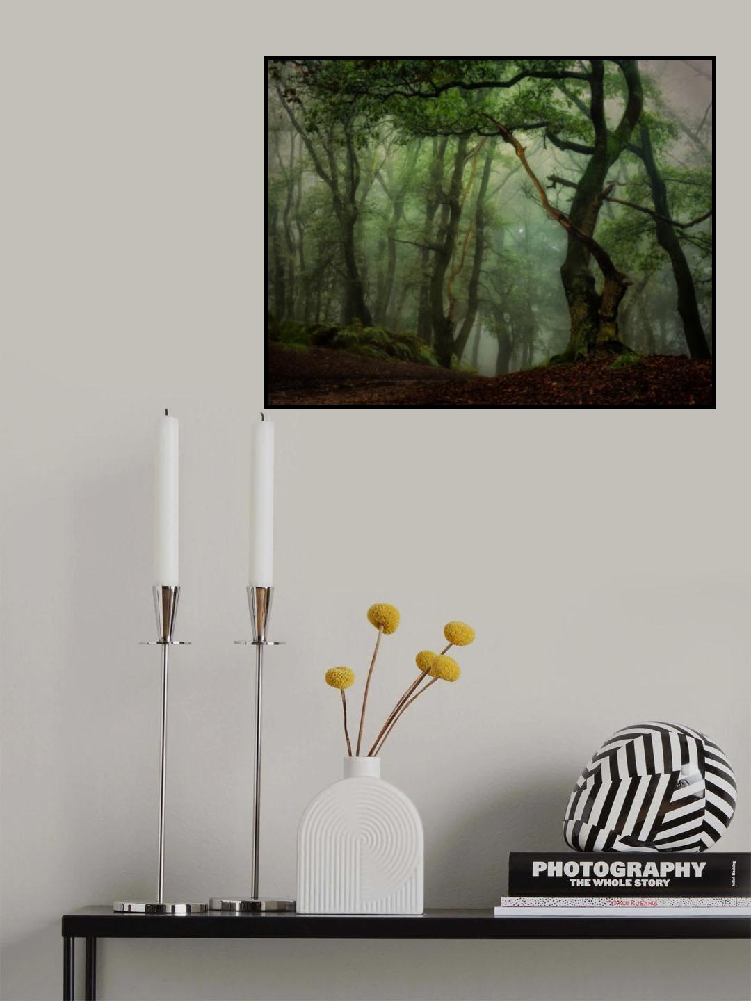 from groundlevel Poster och Canvastavla