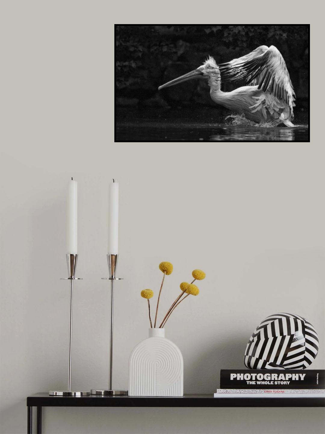 Folded wings Poster och Canvastavla