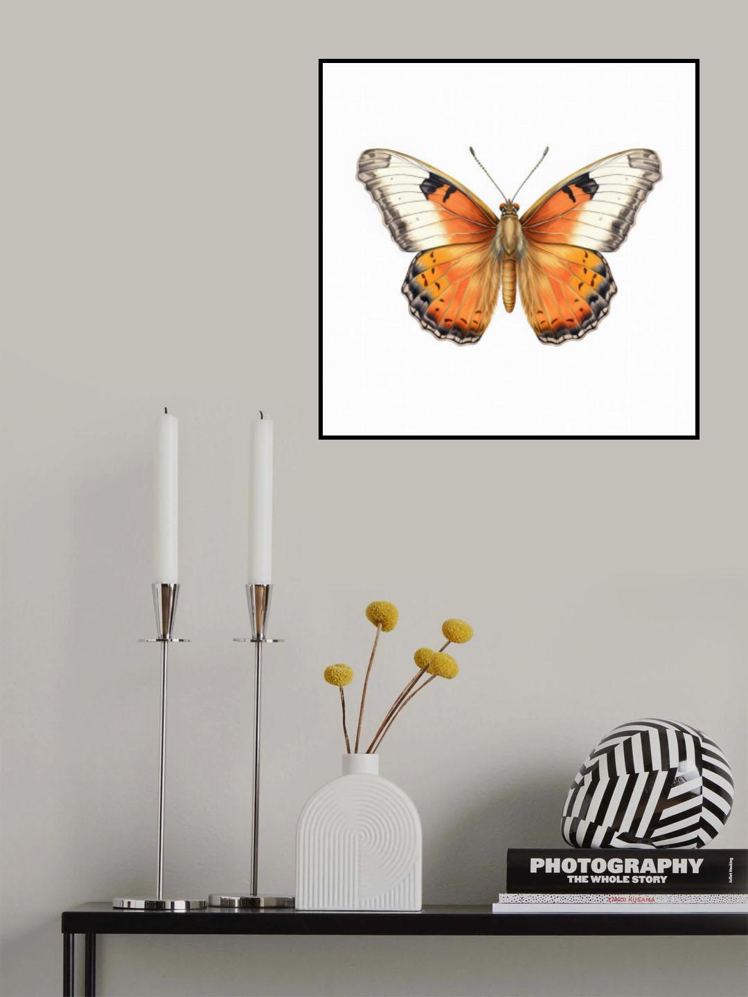 Butterfly 8 Poster och Canvastavla