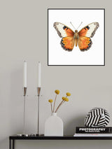 Butterfly 8 Poster och Canvastavla