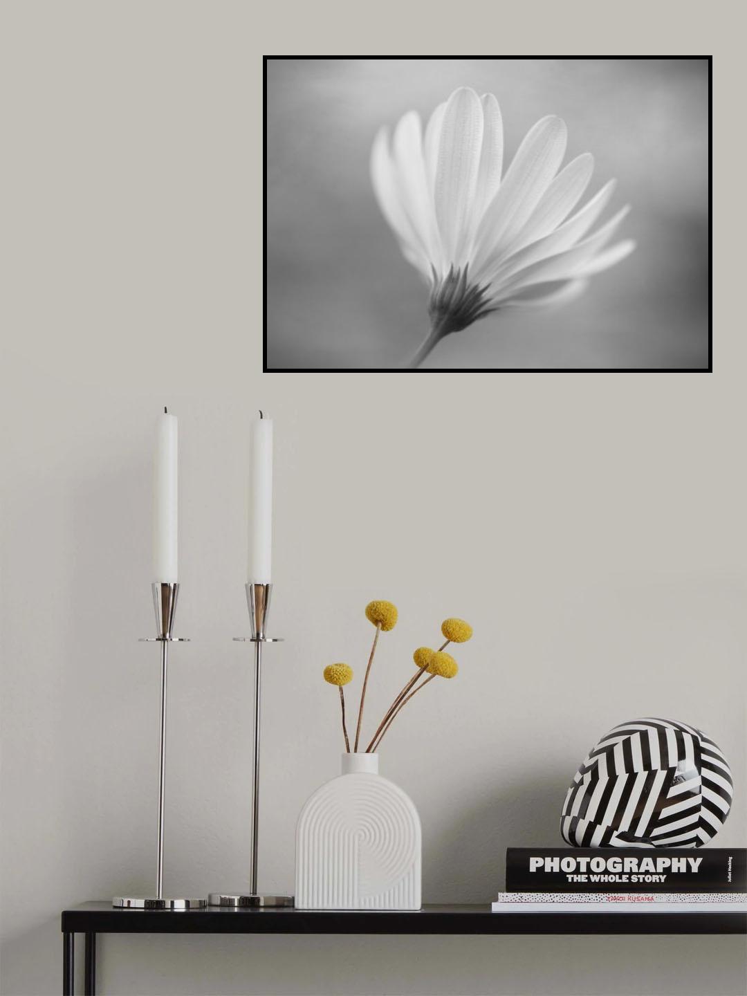 Gerbera Poster och Canvastavla