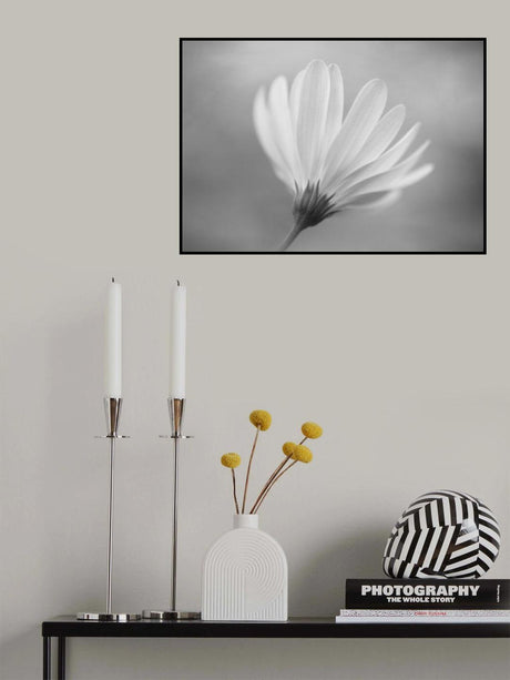 Gerbera Poster och Canvastavla