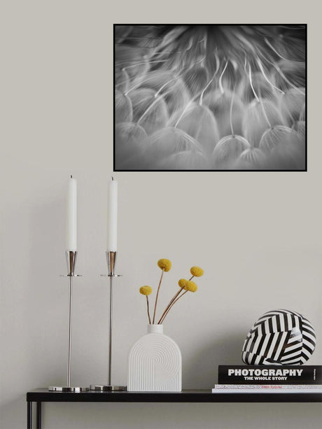 Poster och Canvastavla