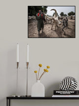 A scene of a Mundari camp-I - South Sudan Poster och Canvastavla
