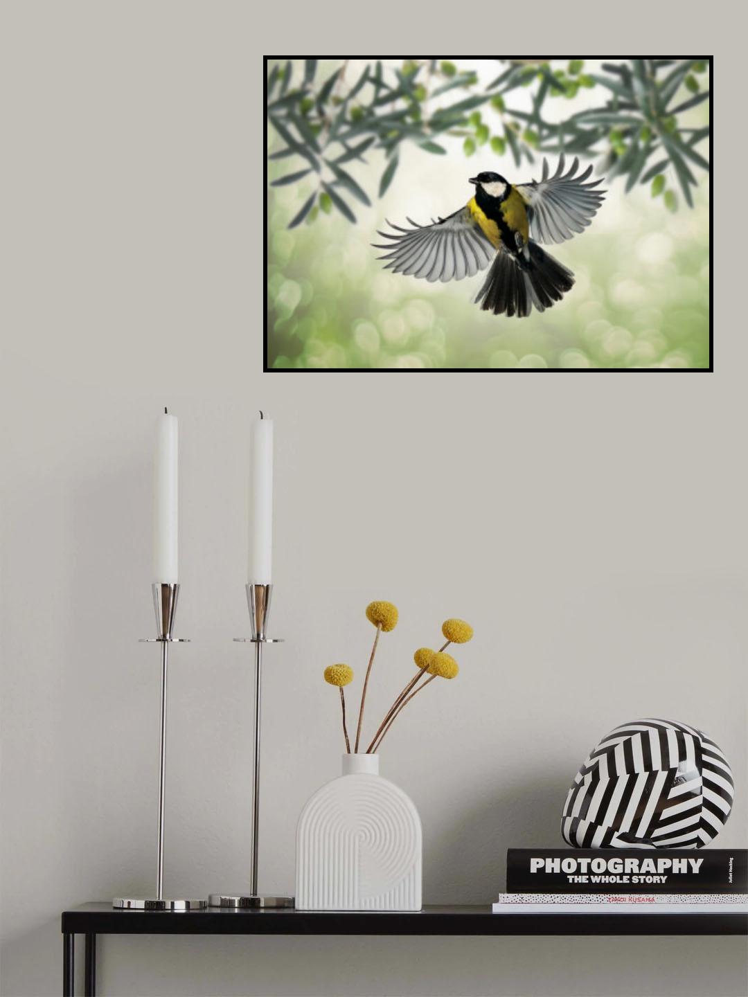 Great Tit flies at olive grove Poster och Canvastavla