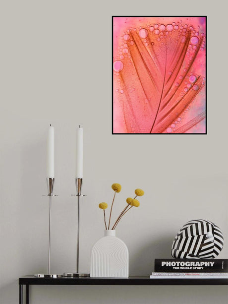 Feather, Oil and Water Poster och Canvastavla