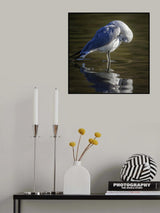 Poster och Canvastavla